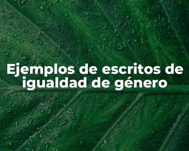Ejemplos de escritos de igualdad de género