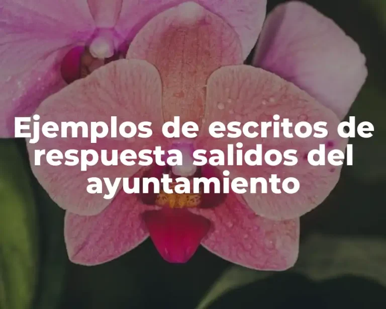 Ejemplos de escritos de respuesta salidos del ayuntamiento