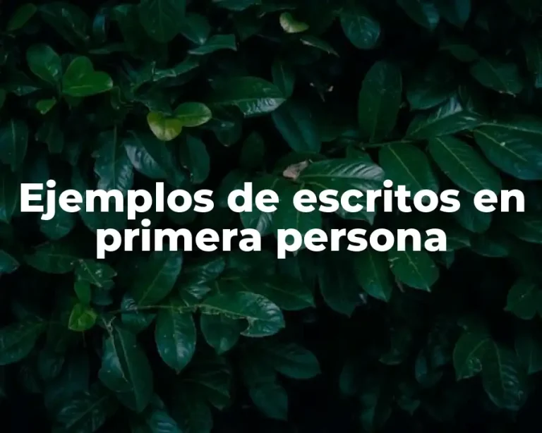 Ejemplos de escritos en primera persona