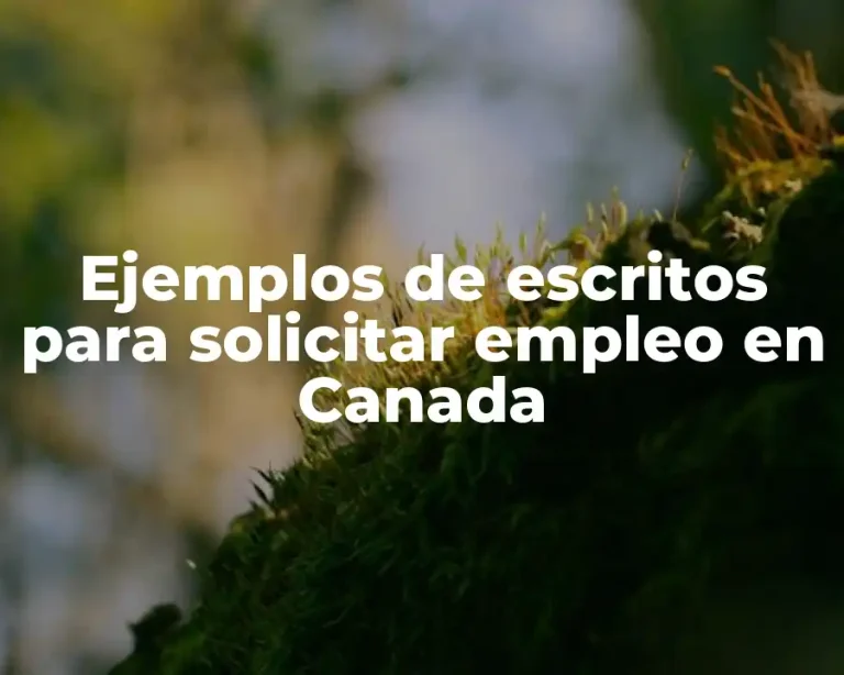 Ejemplos de escritos para solicitar empleo en Canada