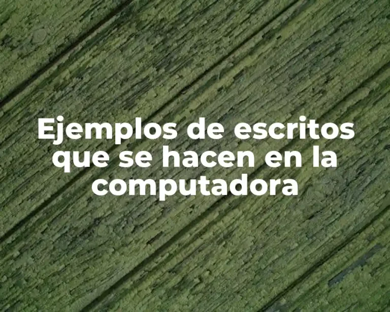 Ejemplos de escritos que se hacen en la computadora