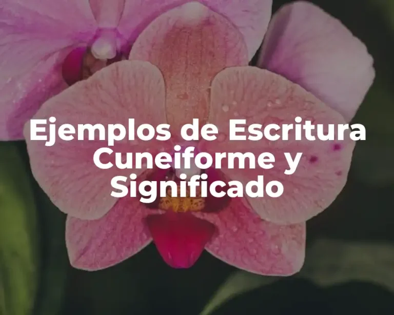 Ejemplos de Escritura Cuneiforme y Significado