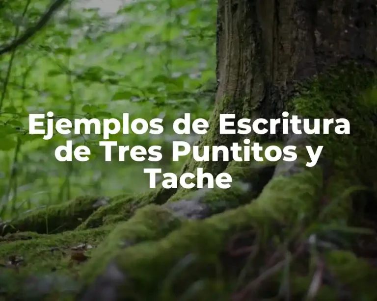 Ejemplos de Escritura de Tres Puntitos y Tache
