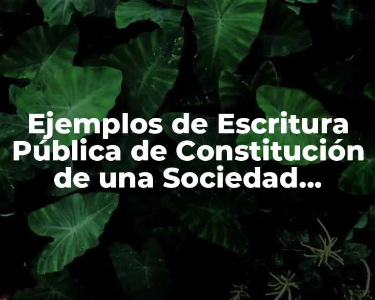 Ejemplos de Escritura Pública de Constitución de una Sociedad Mercantil