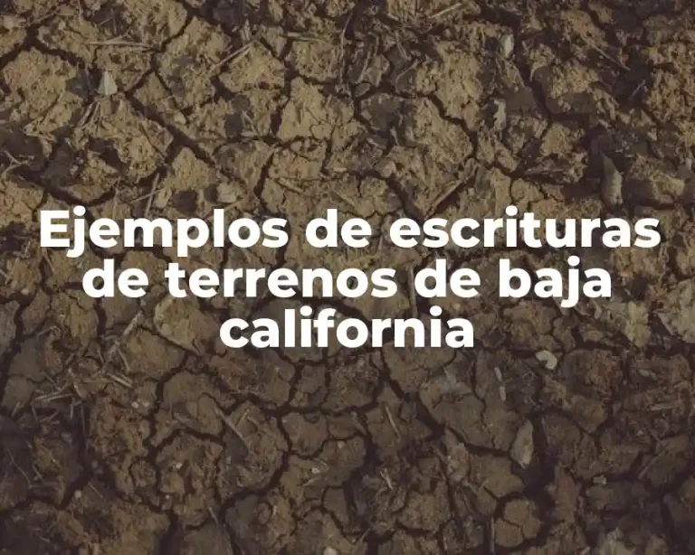 Ejemplos de escrituras de terrenos de baja california