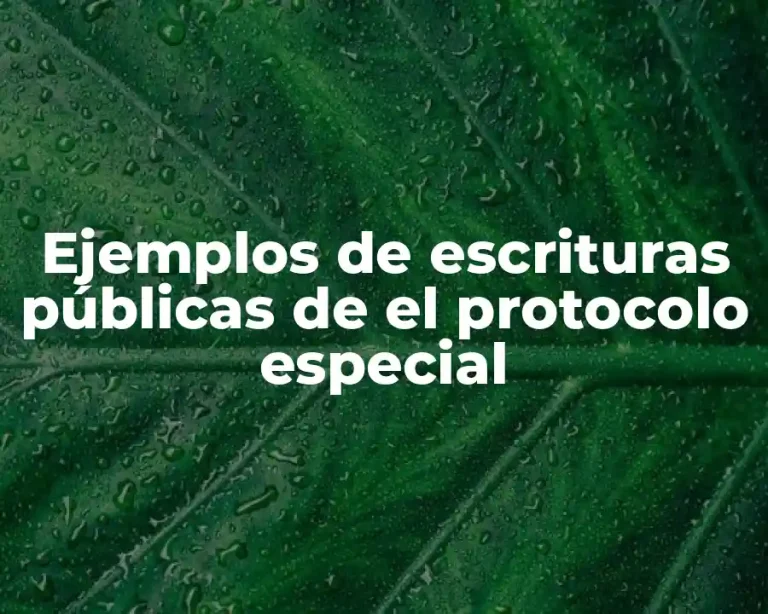 Ejemplos de escrituras públicas de el protocolo especial