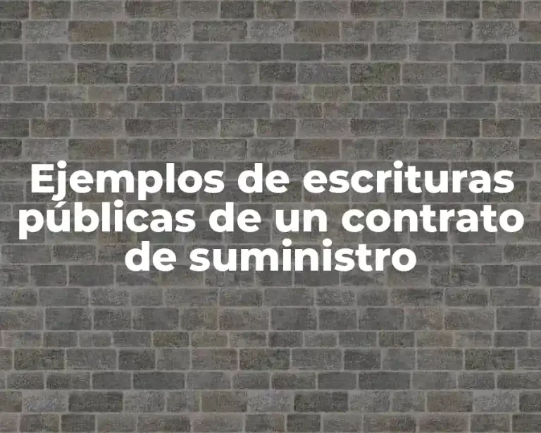 Ejemplos de escrituras públicas de un contrato de suministro