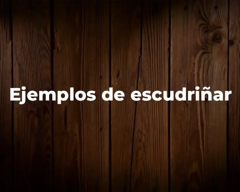 Ejemplos de escudriñar