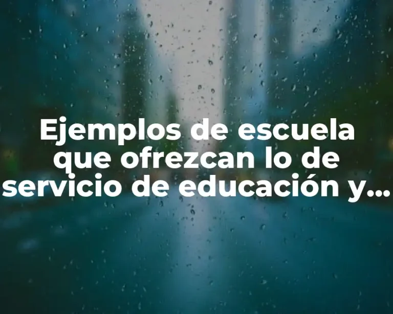 Ejemplos de escuela que ofrezcan lo de servicio de educación y Significado