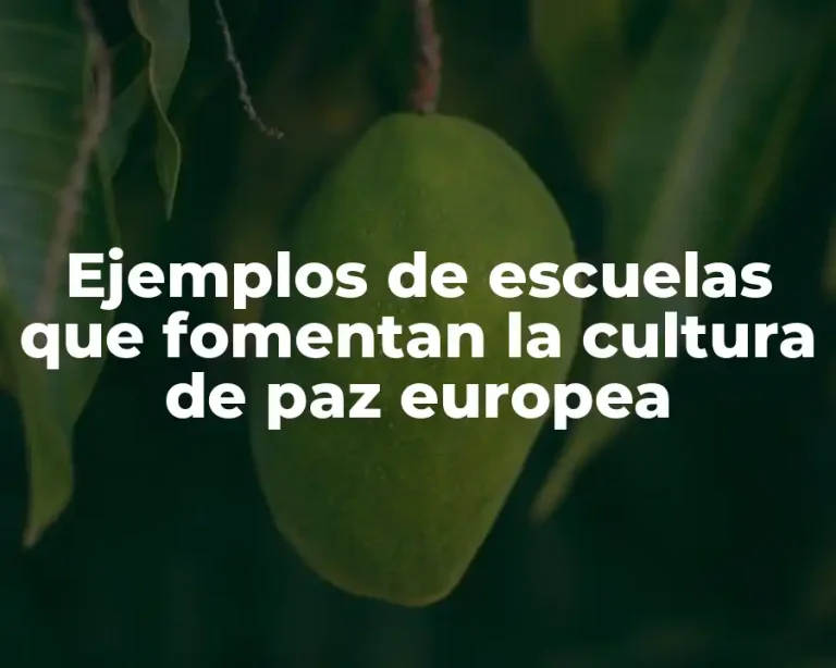 Ejemplos de escuelas que fomentan la cultura de paz europea