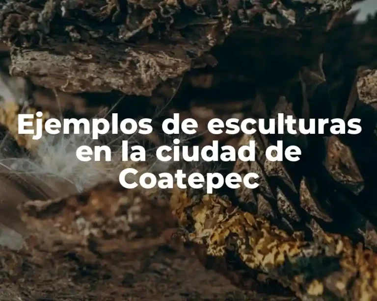 Ejemplos de esculturas en la ciudad de Coatepec