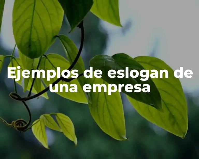 Ejemplos de eslogan de una empresa
