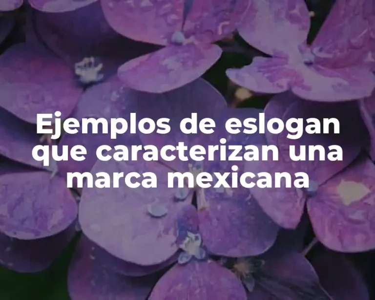 Ejemplos de eslogan que caracterizan una marca mexicana