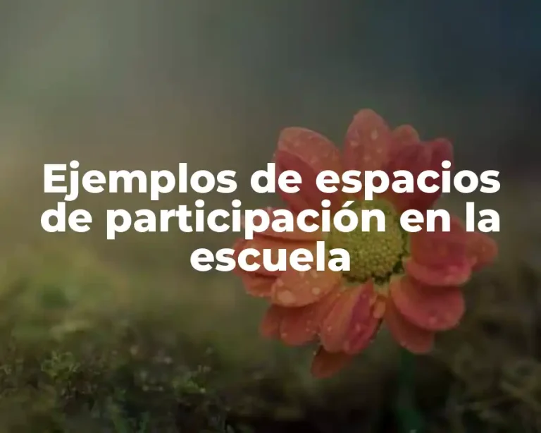 Ejemplos de espacios de participación en la escuela