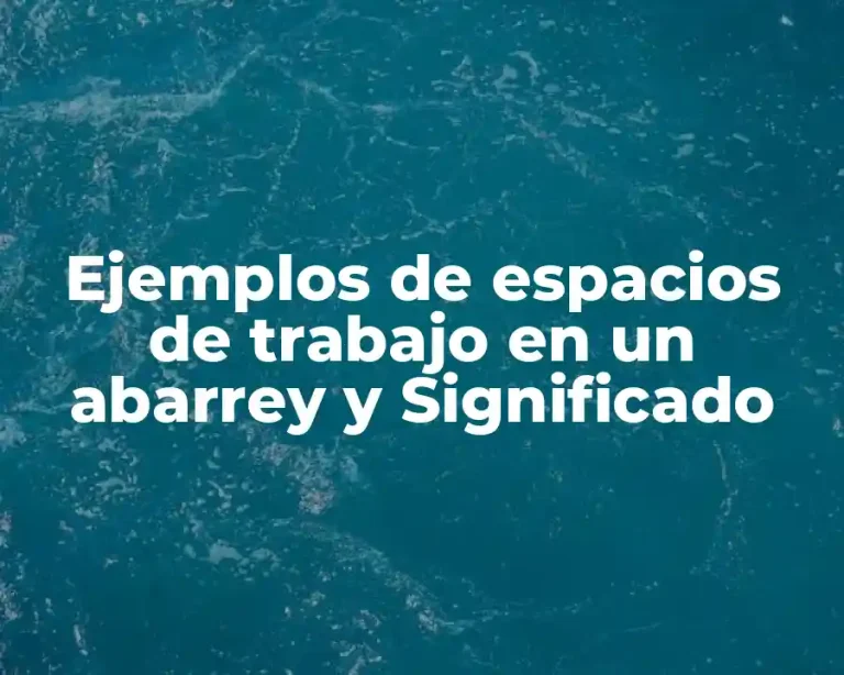 Ejemplos de espacios de trabajo en un abarrey y Significado