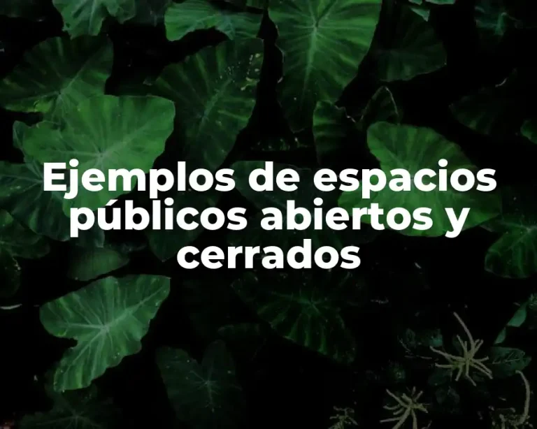 Ejemplos de espacios públicos abiertos y cerrados