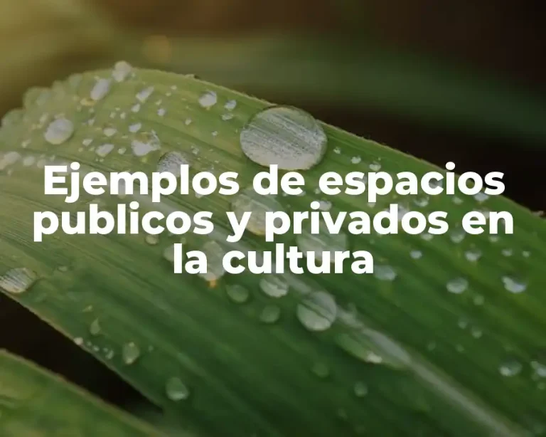 Ejemplos de espacios publicos y privados en la cultura