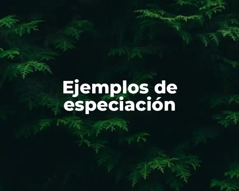 Ejemplos de especiación