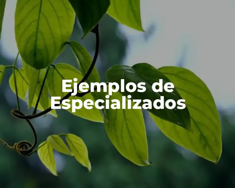 Ejemplos de Especializados