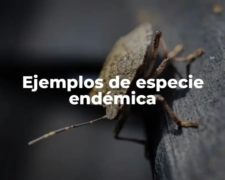 Ejemplos de especie endémica