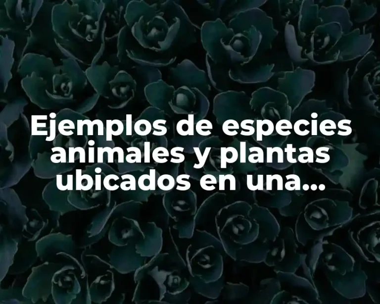 Ejemplos de especies animales y plantas ubicados en una cadena alimentaria
