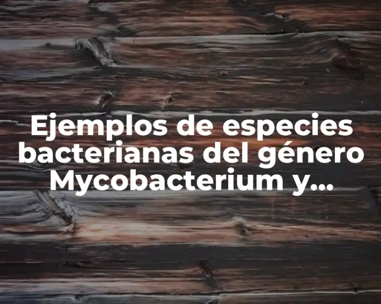 Ejemplos de especies bacterianas del género Mycobacterium y Nocardia