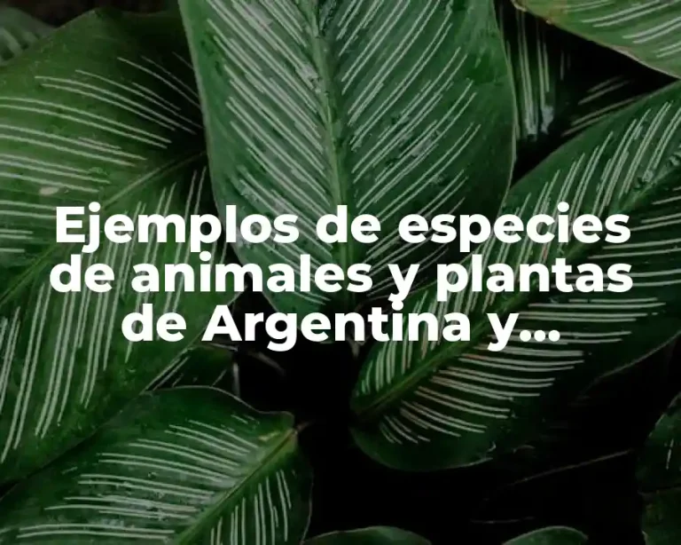 Ejemplos de especies de animales y plantas de Argentina y Significado