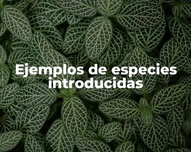 Ejemplos de especies introducidas