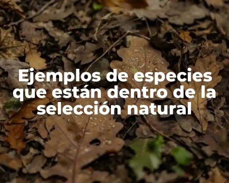 Ejemplos de especies que están dentro de la selección natural