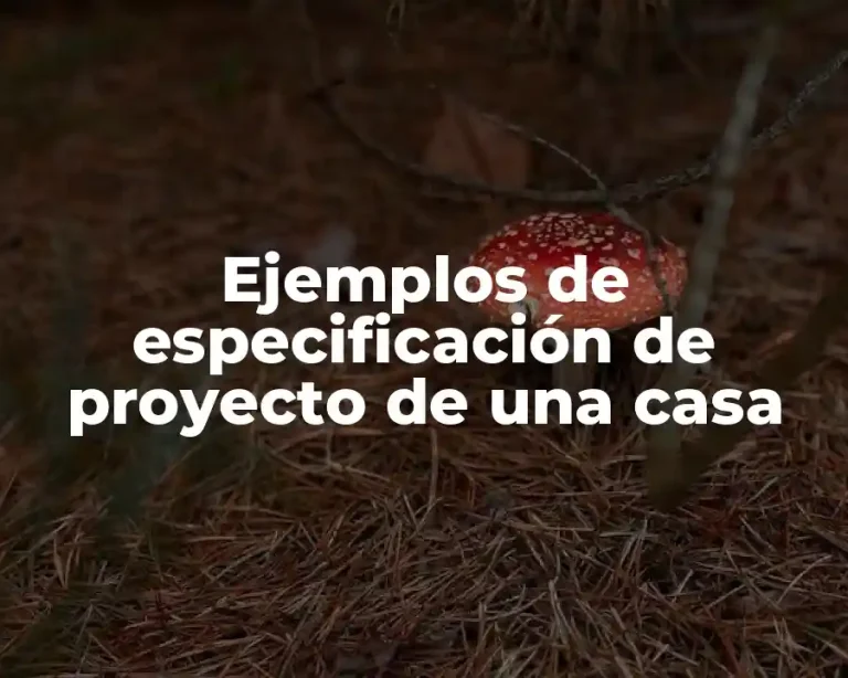 Ejemplos de especificación de proyecto de una casa