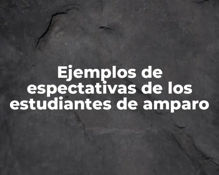 Ejemplos de espectativas de los estudiantes de amparo