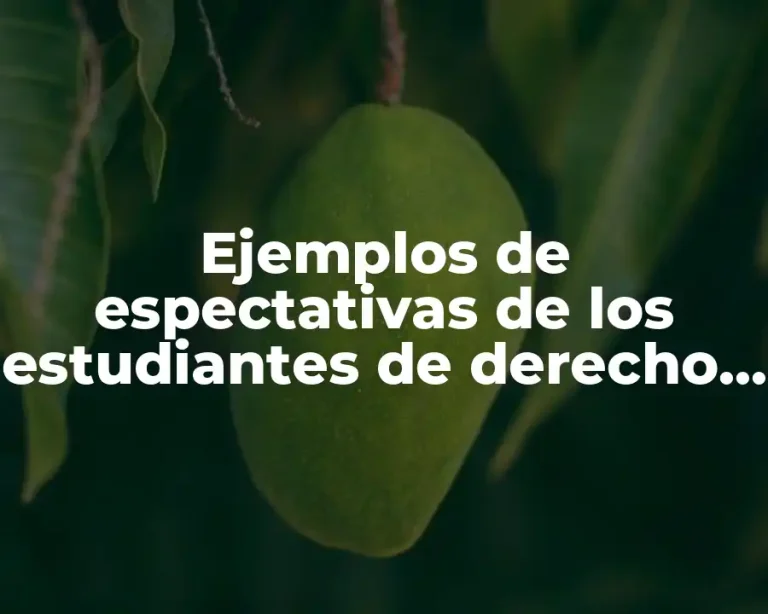 Ejemplos de espectativas de los estudiantes de derecho y Significado