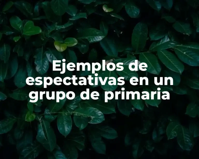 Ejemplos de espectativas en un grupo de primaria