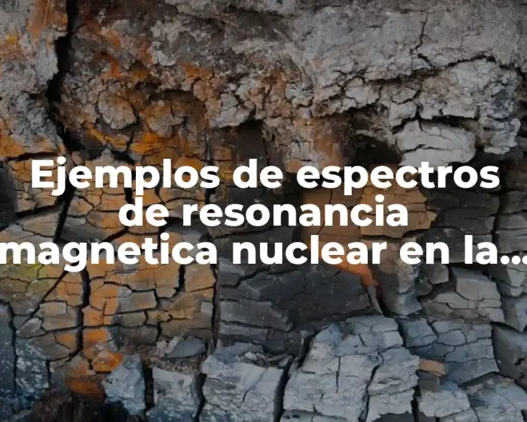 Ejemplos de espectros de resonancia magnetica nuclear en la medicina