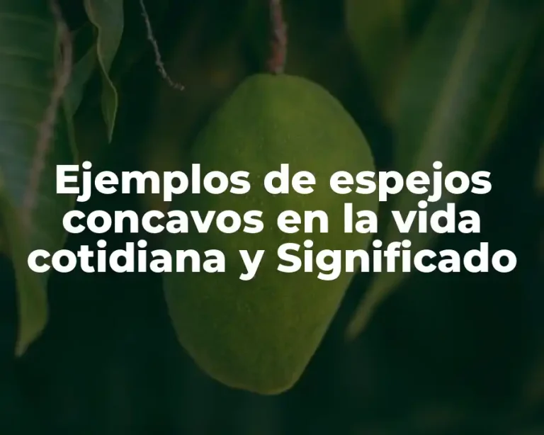 Ejemplos de espejos concavos en la vida cotidiana y Significado