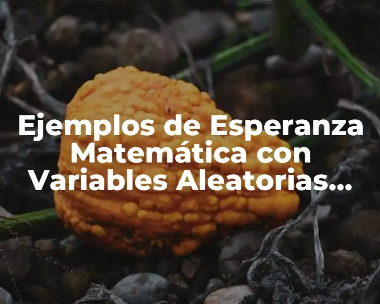 Ejemplos de Esperanza Matemática con Variables Aleatorias Discretas