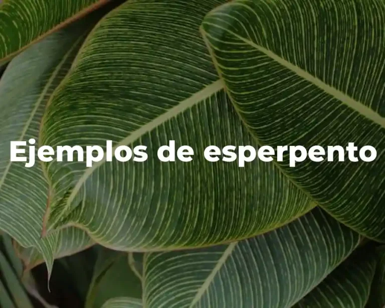 Ejemplos de esperpento