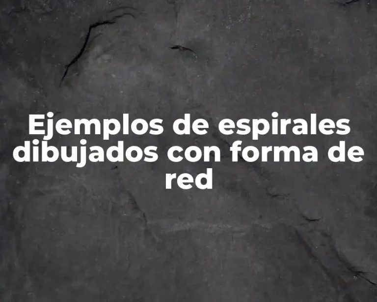 Ejemplos de espirales dibujados con forma de red