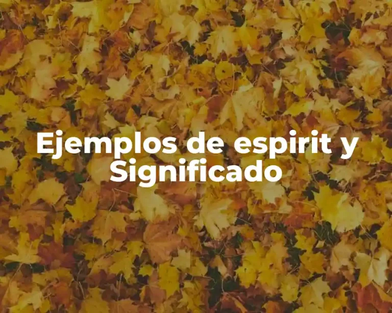 Ejemplos de espirit y Significado