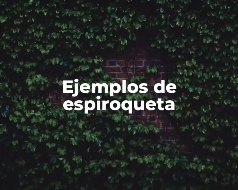 Ejemplos de espiroqueta