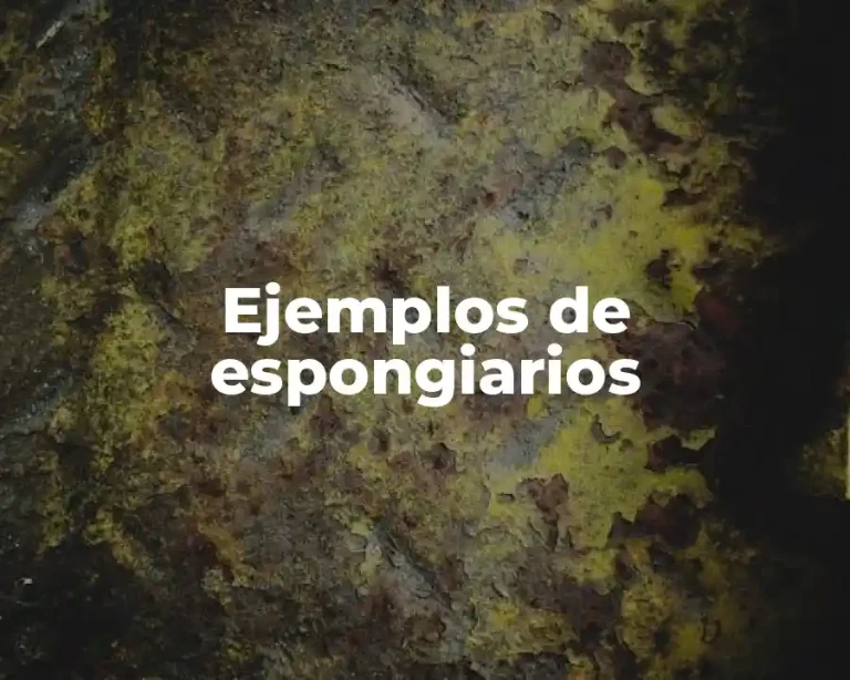 Ejemplos de espongiarios