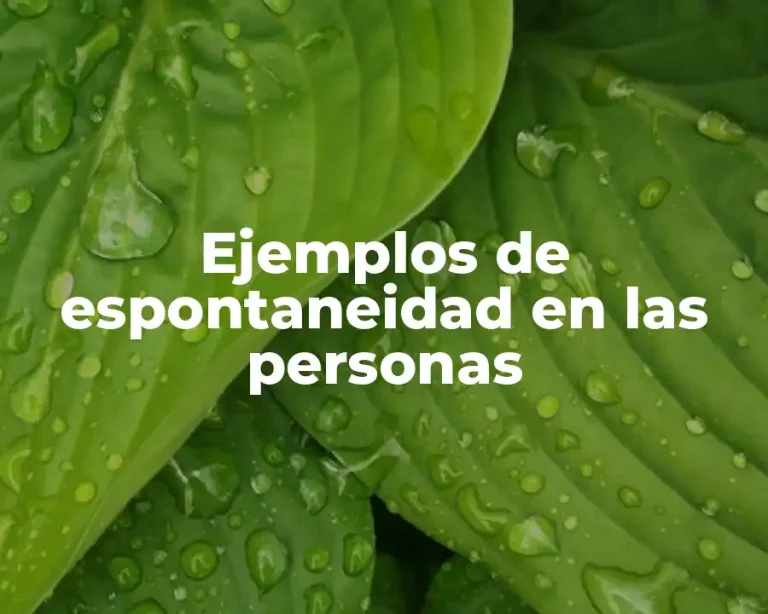 Ejemplos de espontaneidad en las personas