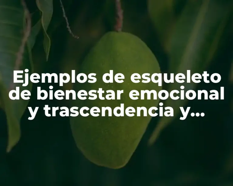 Ejemplos de esqueleto de bienestar emocional y trascendencia y Significado