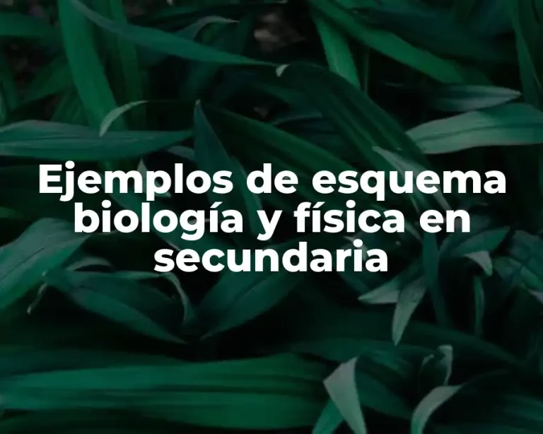 Ejemplos de esquema biología y física en secundaria