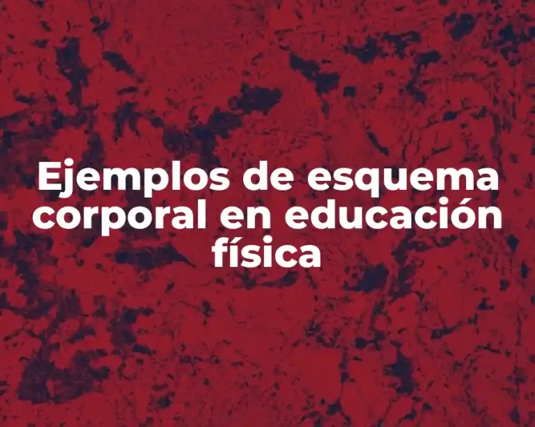Ejemplos de esquema corporal en educación física