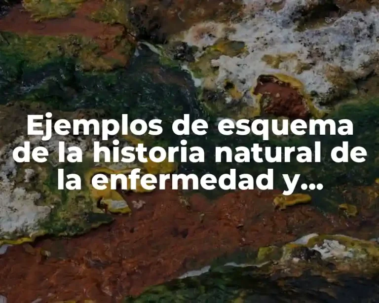 Ejemplos de esquema de la historia natural de la enfermedad y Significado