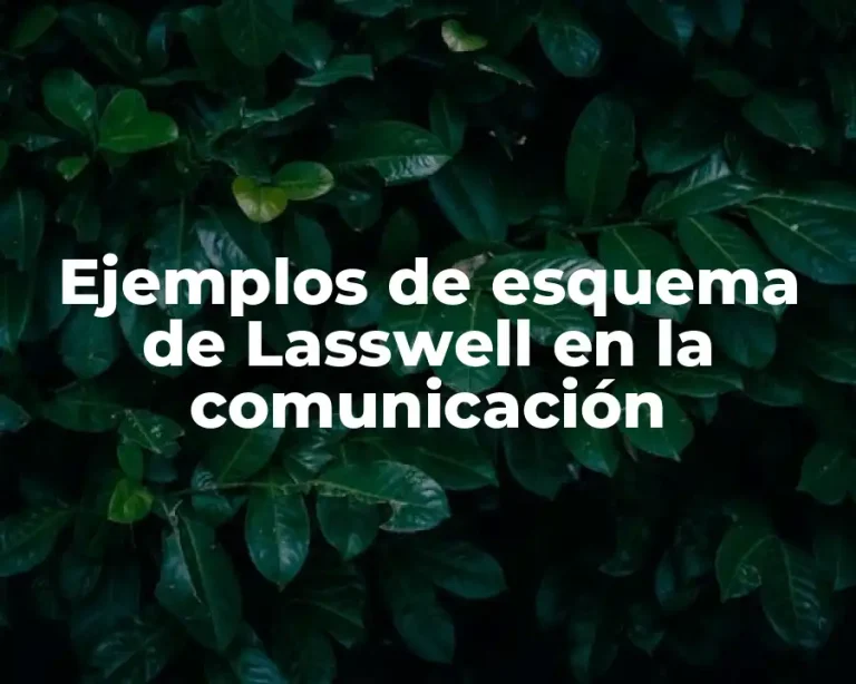 Ejemplos de esquema de Lasswell en la comunicación