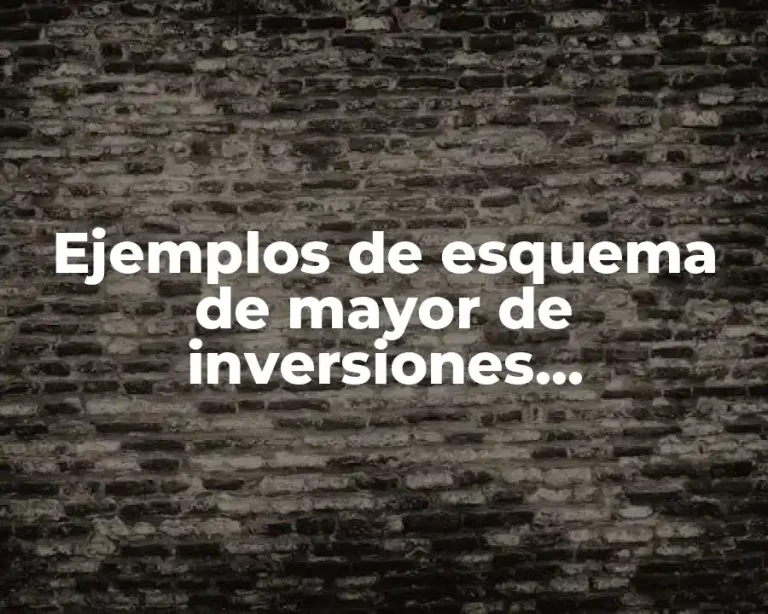 Ejemplos de esquema de mayor de inversiones permanentes