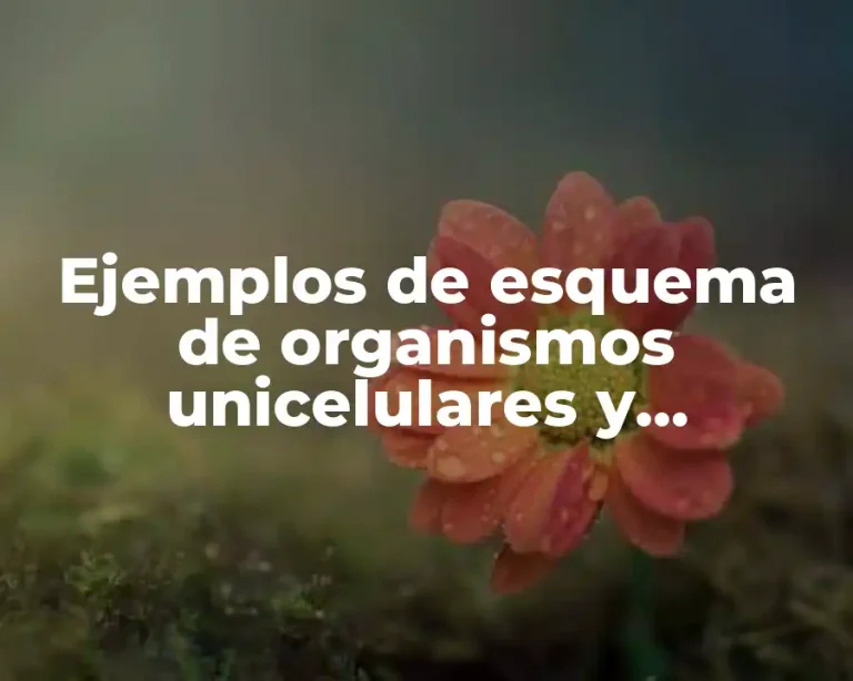 Ejemplos de esquema de organismos unicelulares y pluricelulares