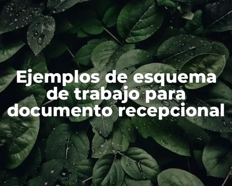 Ejemplos de esquema de trabajo para documento recepcional